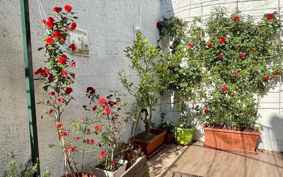 세타라 Casa Di Nicola 빌라 외부 사진